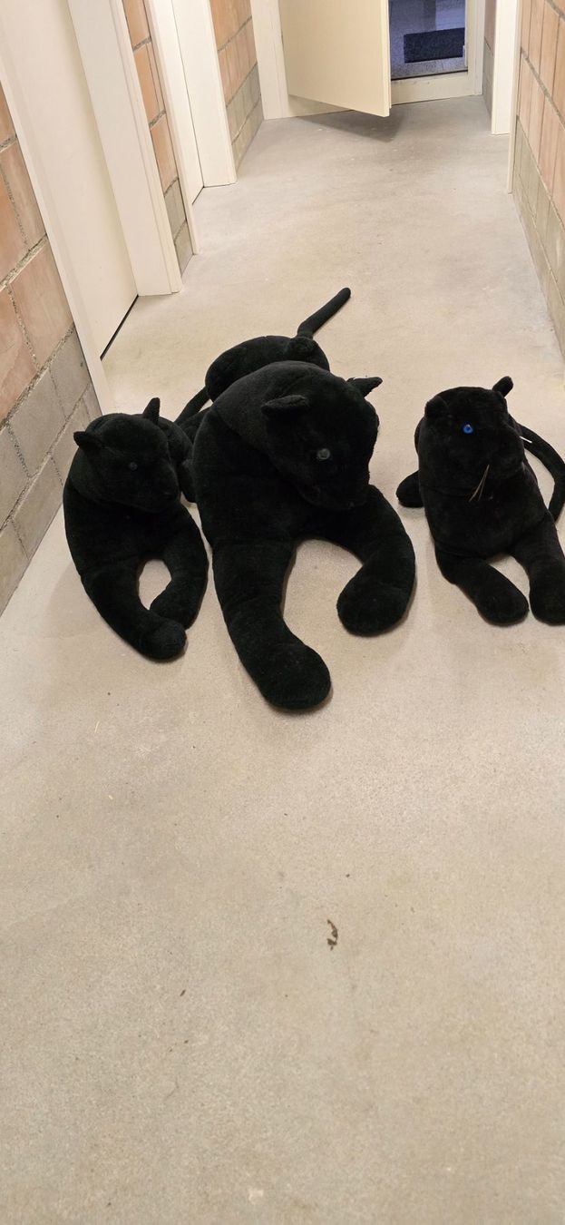 Jouets: Plüschtier Panther 3er Set schwarz – D'occasion à Münchenbuchsee par Divemasterflieg 1