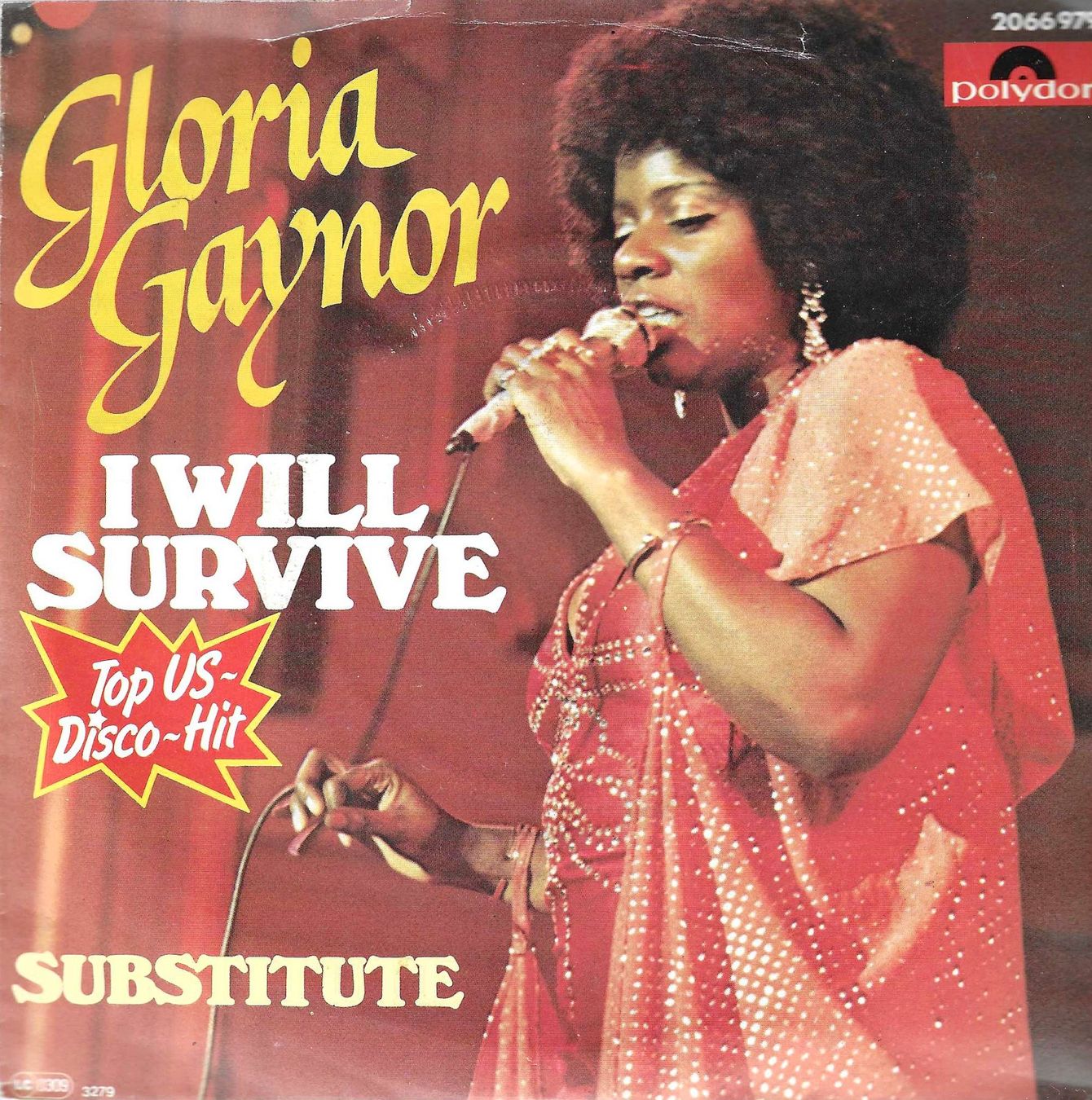 Dischi in vinile: Gloria Gaynor - I Will Survive – Usato da Savagnier venduto da Ne2065