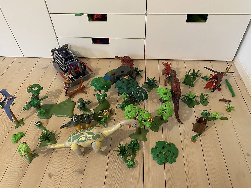 Giocattoli: Playmobil Dinos – Usato da Fehraltorf venduto da bubulina84 4