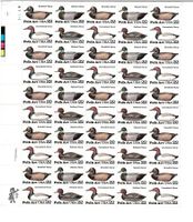 USA Enten 1 KB **