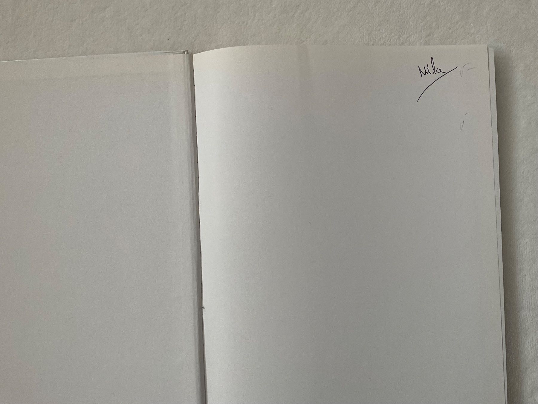 Bücher: Mexikanische Küche – Gebraucht aus Zürich von tol_b7c7 1