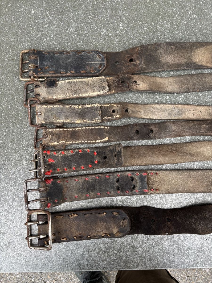 Campanacci mucche: 7 Glocken Riemen – Usato da Schangnau venduto da Roseggli82 7