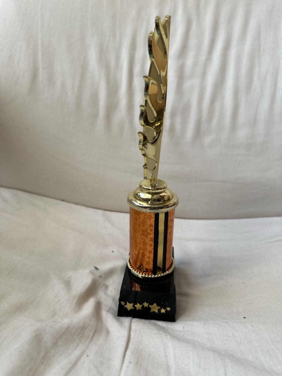 Altre raccolte & rarità: Goldener Pokal – Usato da Basel venduto da ari_f26x 4