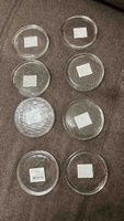 Set von 8 Glasplatten rund transparent neuwertig