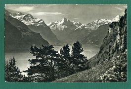 Urnersee mit Bristenstock, 1951, ungelaufen