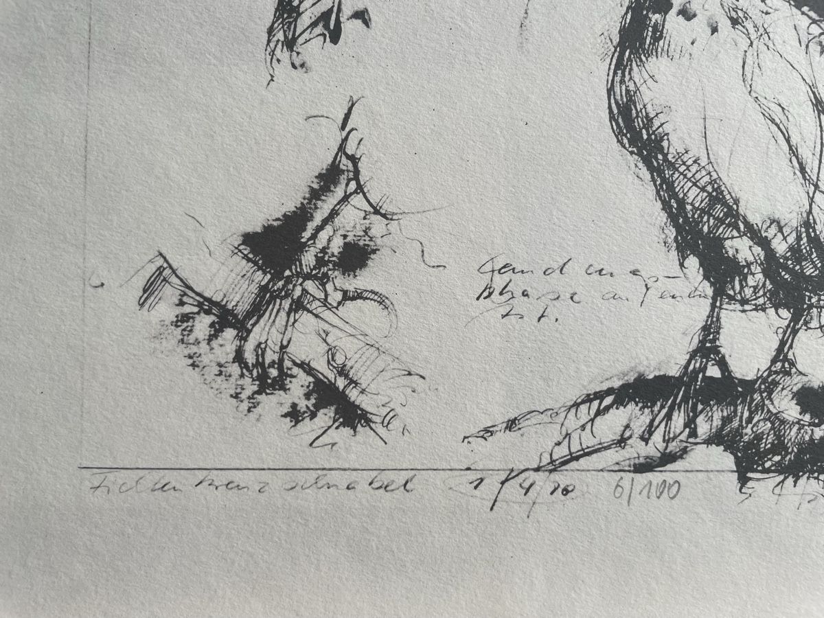 Arts picturaux & lithographies: Peter Caspary Probedruck Schnabel – D'occasion à Biel/Bienne par Galaq 1