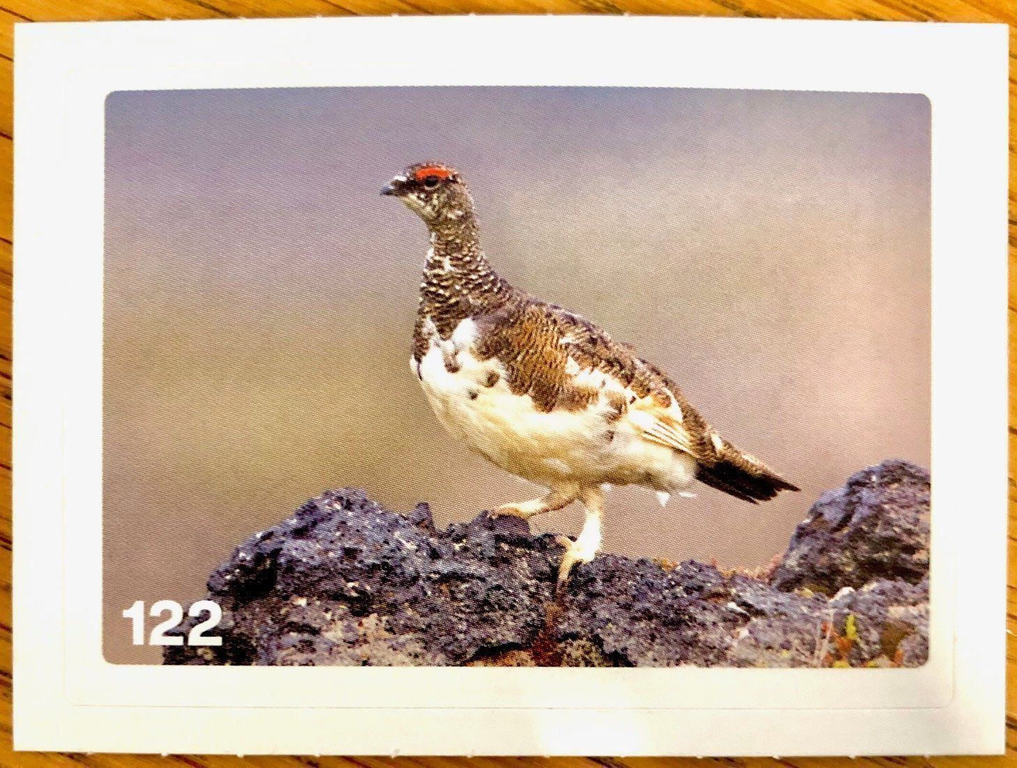Migros Carte collezionabili: Migros Nature Detectives - Bild Nr. 122 – Nuovo (secondo la descrizione) da Oberrieden venduto da Zimmerberg10