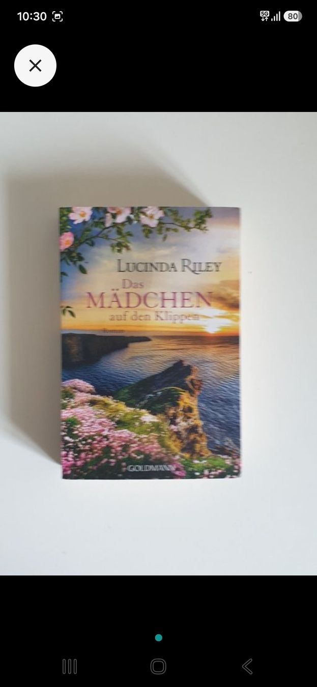 Libri: 5 Romane Lucinda Riley – Usato da Basel venduto da Mountainfreak 1
