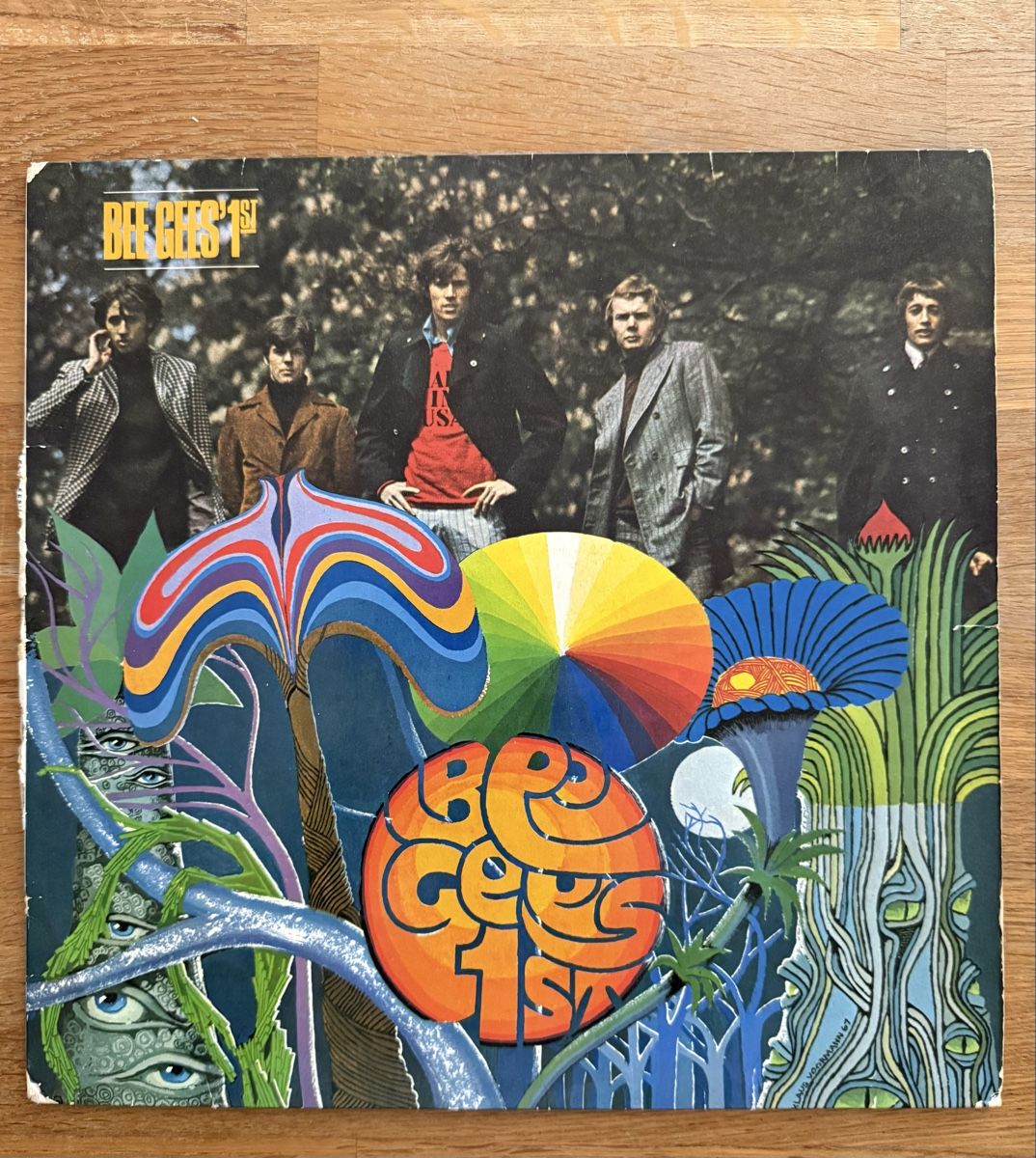 Dischi in vinile: Bee Gees 1st, LP, Schallplatte Vinyl – Usato da Goldach venduto da Messerguru