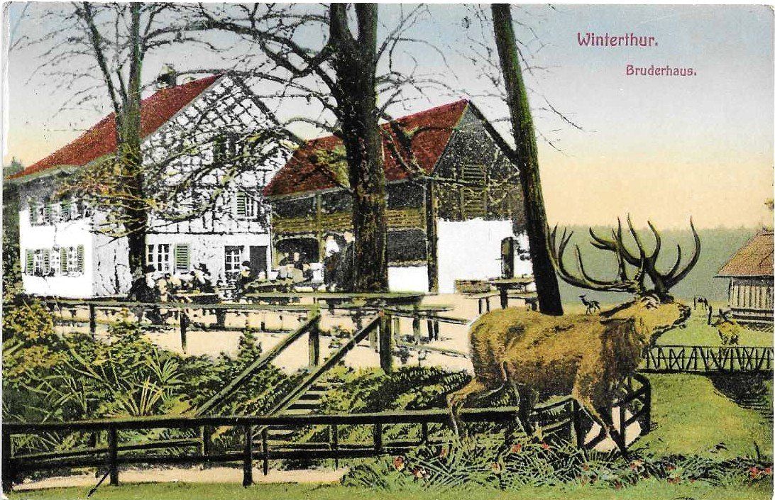 Cartoline postali: AK WINTERTHUR BRUDERHAUS 1912 – Usato da Schlossrued venduto da Aronliam