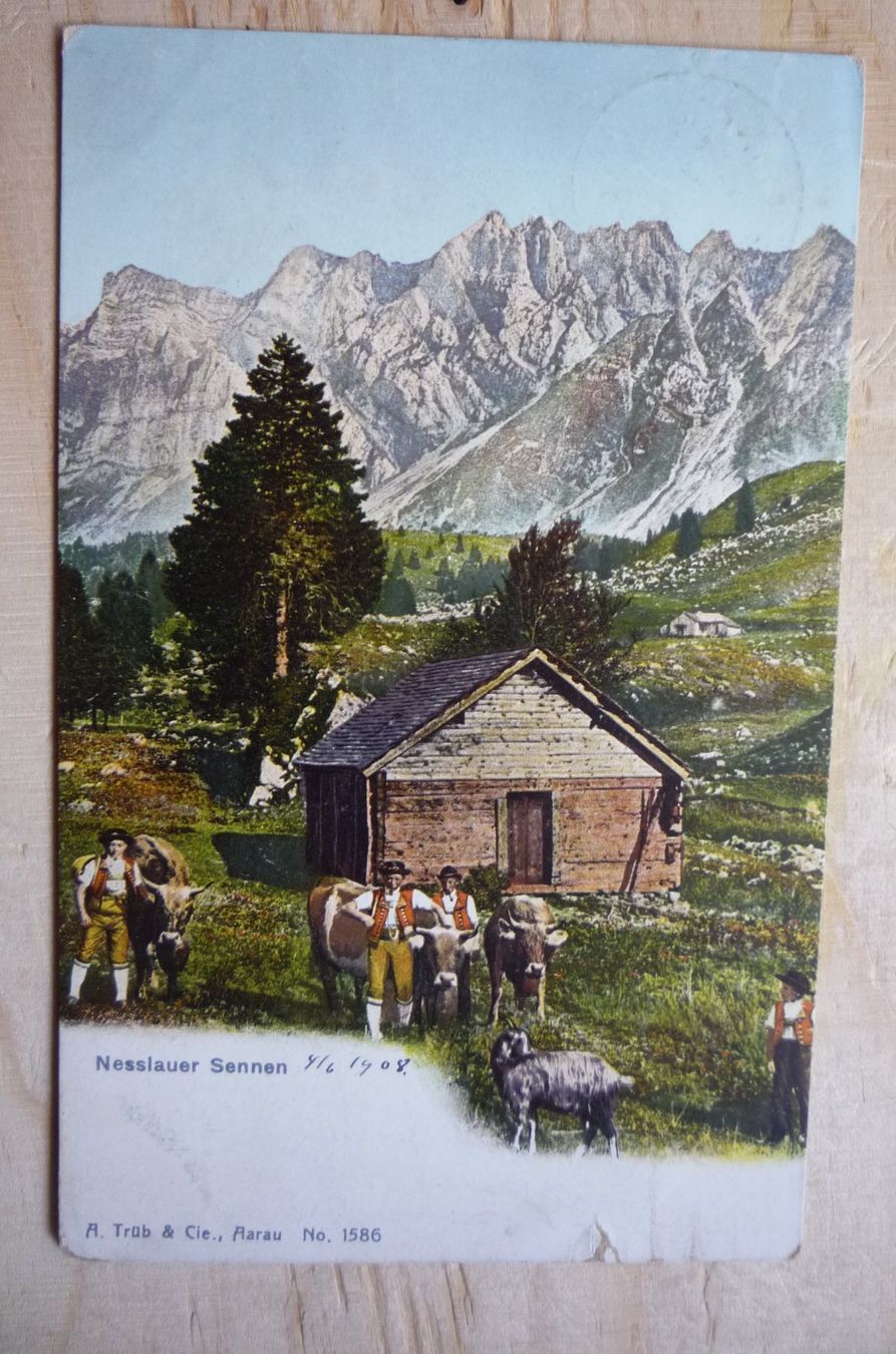 Ansichtskarten: Nesslauer Sennen, 4.VI.08 – Gebraucht aus Rieden SG von Brockehuesli