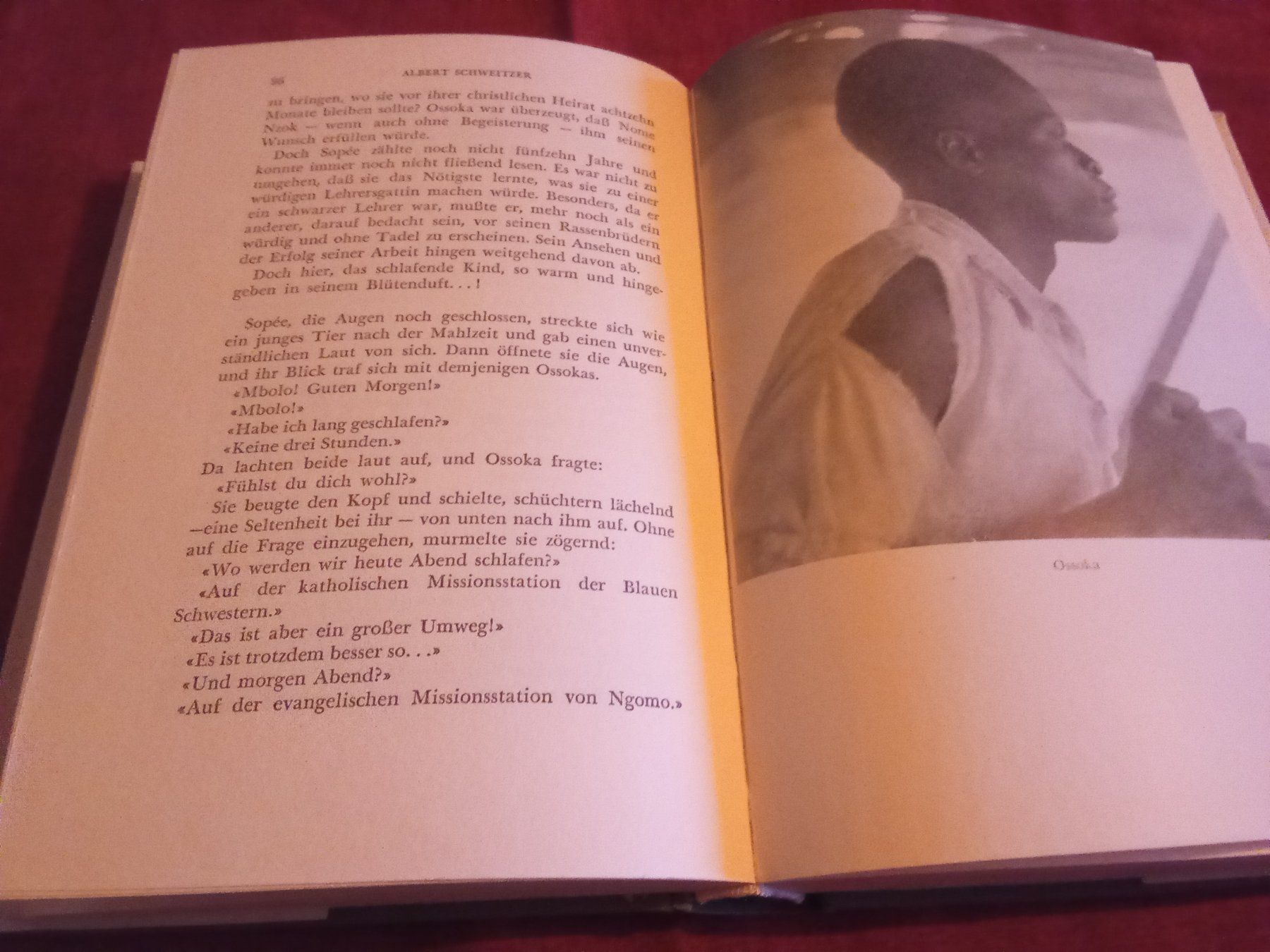 Bücher: Der grosse weisse Doktor Albert Schweitzer – Gebraucht aus Remetschwil von Privatflohmi 4