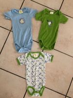 3 my little Bear Bodys kurz Gr.74/80