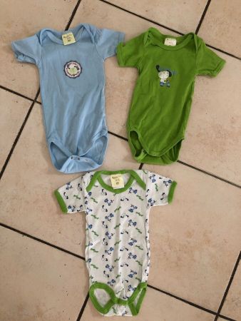 3 my little Bear Bodys kurz Gr.74/80