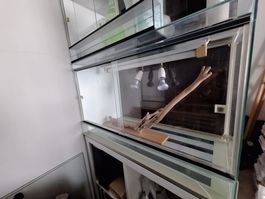 Terrarium mit Untermöbel, kaum gebraucht Top Zustand!