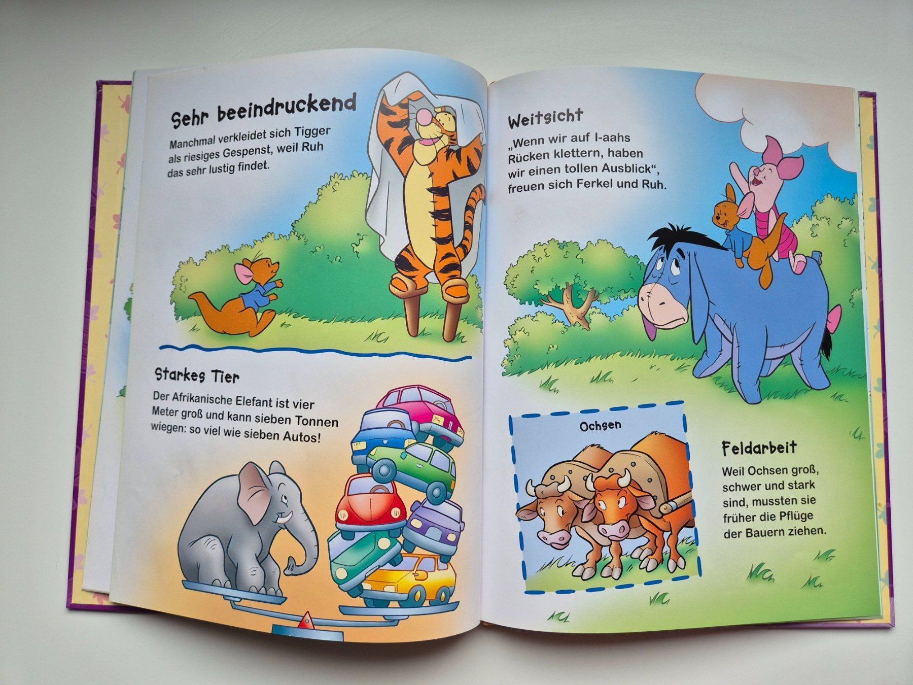 Libri: WINNIE PUUH   -   Entdecke gross und klein – Usato da Niederweningen venduto da Obson 1