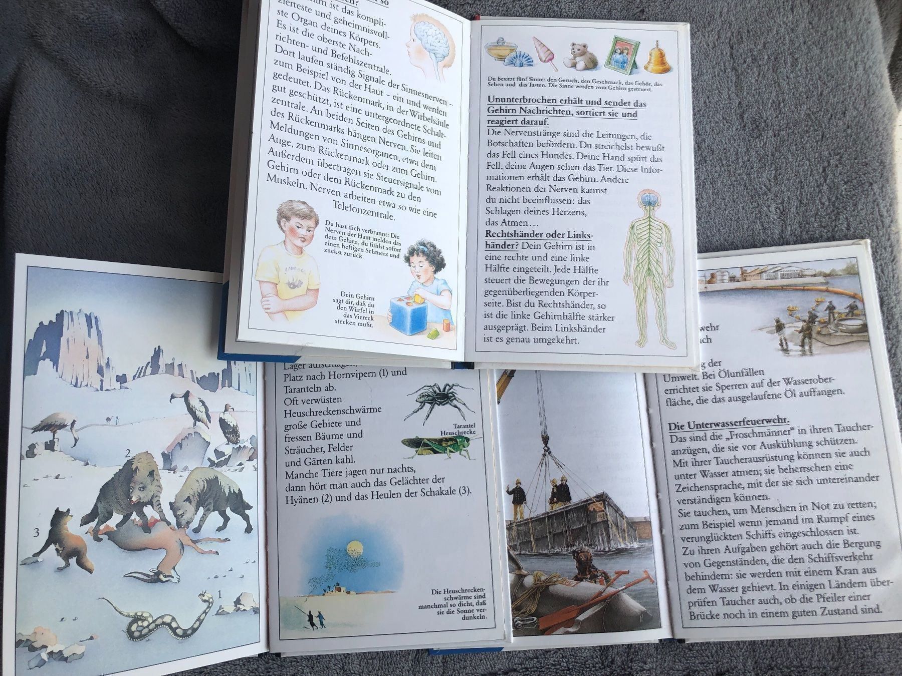 Livres: 3 Büchlein – D'occasion à Strada par Betflo 2