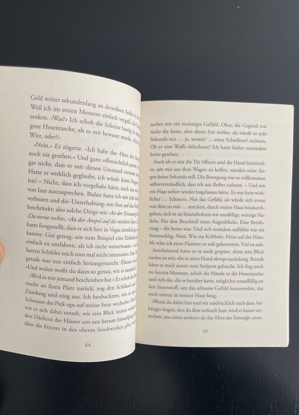 Libri: Windfire - Lynn Raven – Usato da Luzern venduto da Mcleon 3