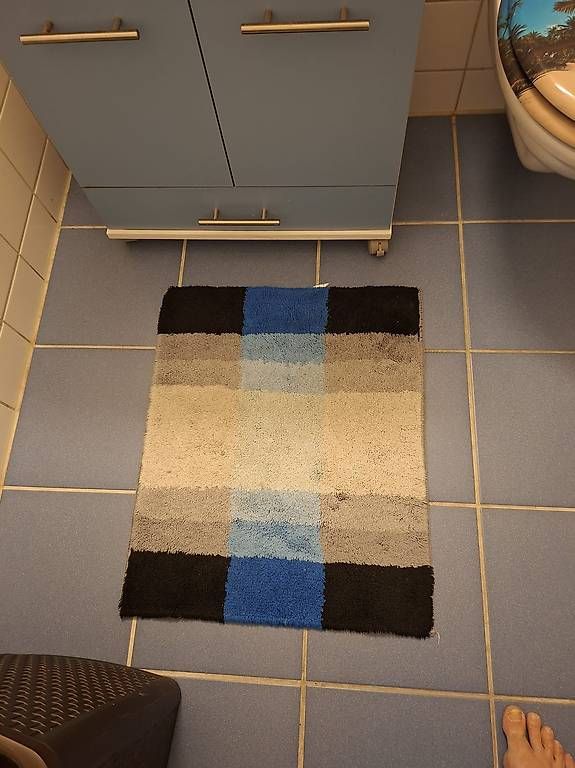 Bodenmatten: Badezimmer Teppich – Gebraucht aus Zürich von swi_2l72