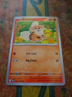 POKEMON  Growlithe    I  DRI EN   027/182  HP80   2025