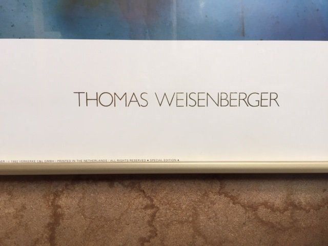 Dipinti: Kunstdruck von Thomas Weisenberger mit Rahmen – Usato da Thalwil venduto da holoarte 1