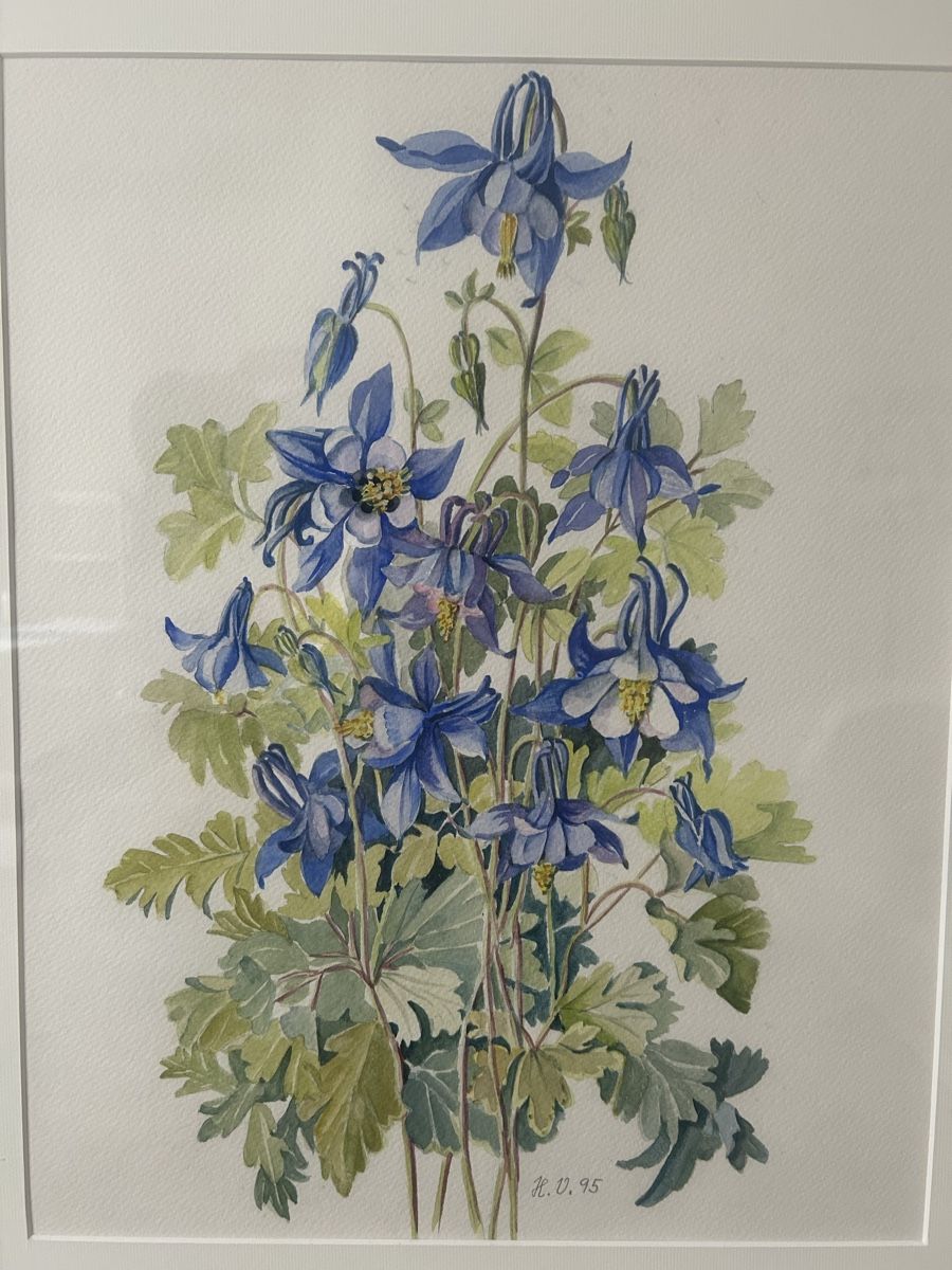 Dipinti: Schönes Blumen Aquarell – Nuovo (secondo la descrizione) da Hittnau venduto da Oracel