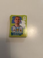 Panini 35 Stk. 