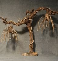 Lichtbaum – handgefertigte Lampe aus altem Rebholz