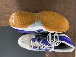 ASICS Hallenschuhe - Grösse 41.5