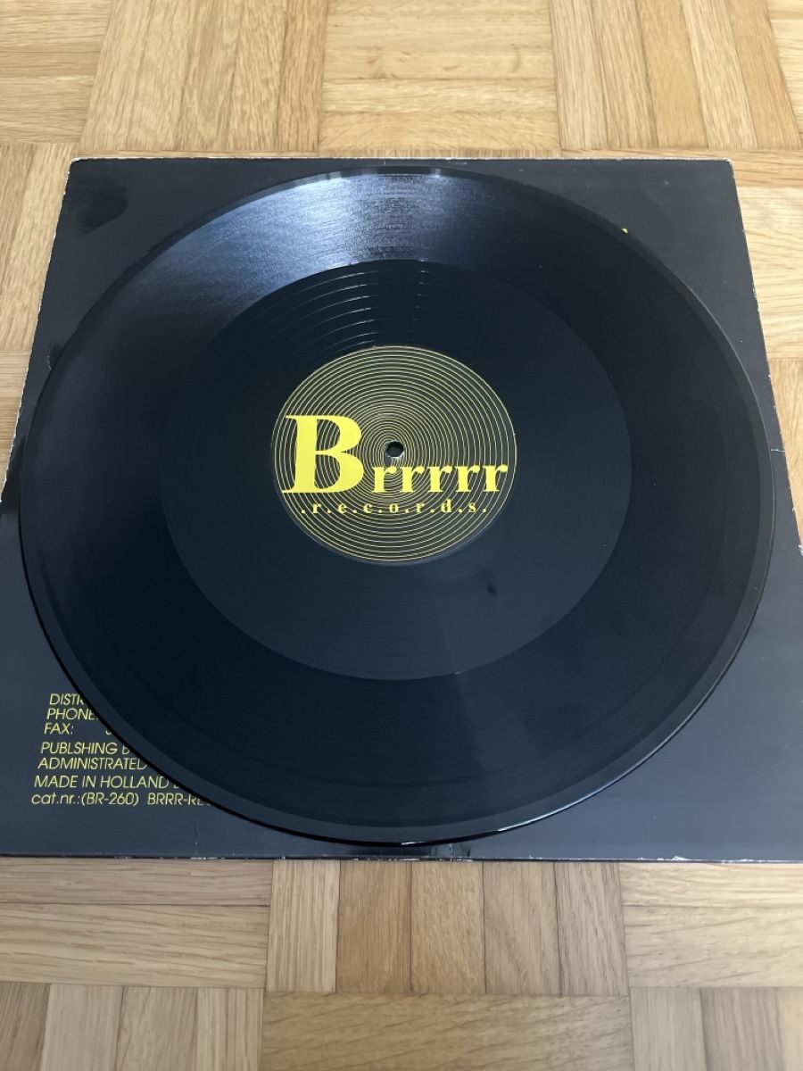 Dischi in vinile: Scarface Hardcore / Gabber Vinyl – Usato da Wangen b. Olten venduto da break72 3