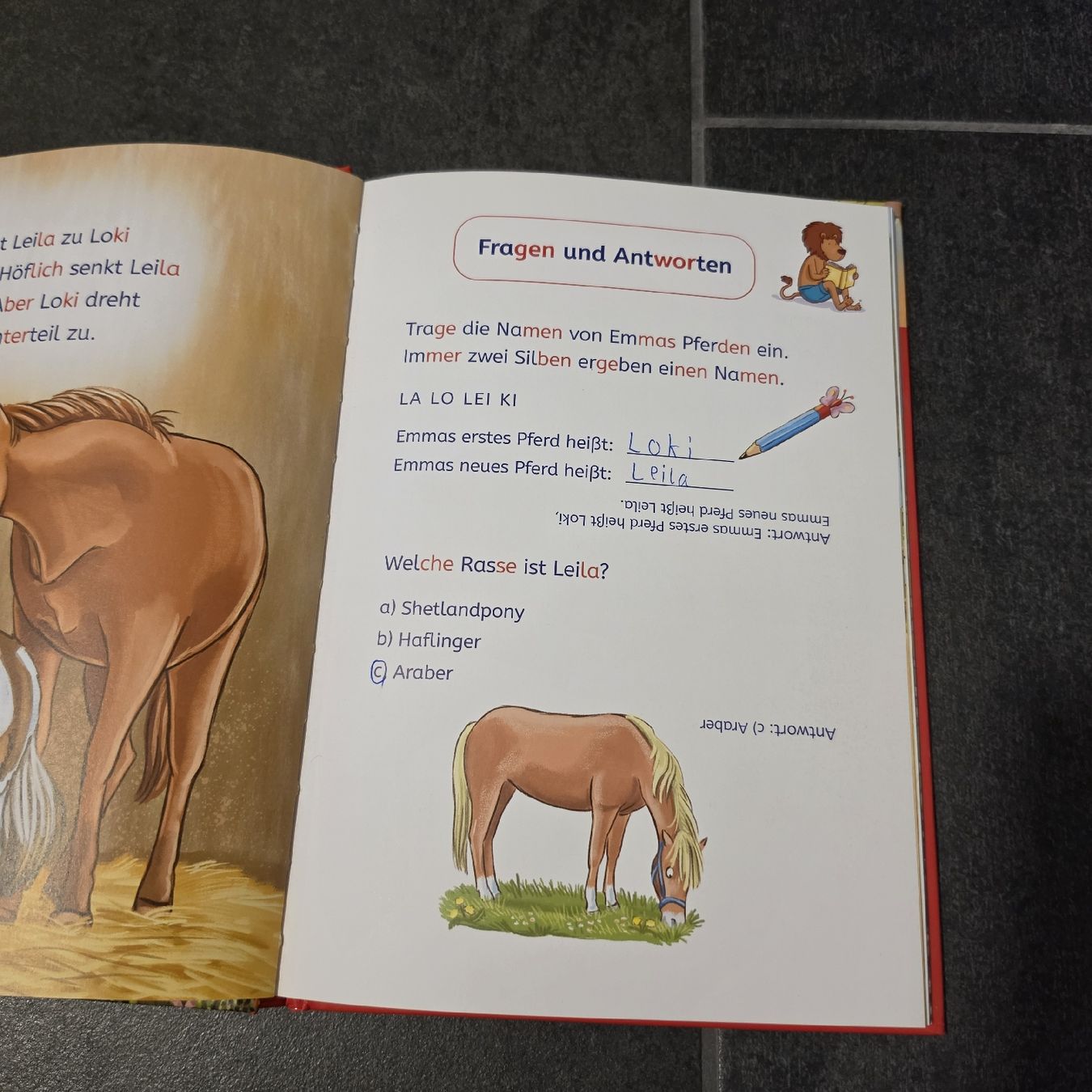 Libri: Leselöwen 1. Klasse Eine ponystarke Freundschaft  – Usato da Buchs AG venduto da LogoParts 1