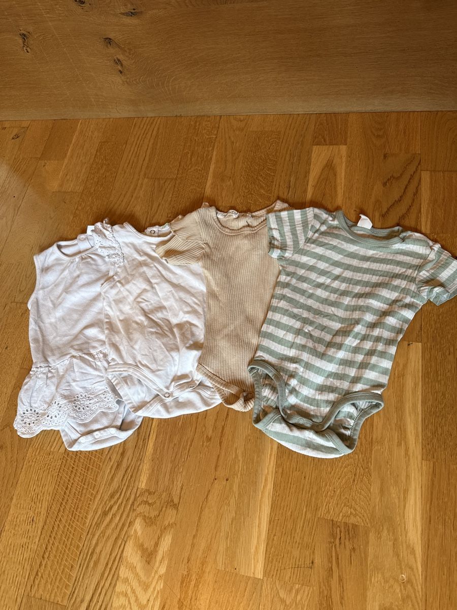 Lotti & Set di vestiti: Bodys Grösse 68-80 – Usato da Ottikon venduto da Domito