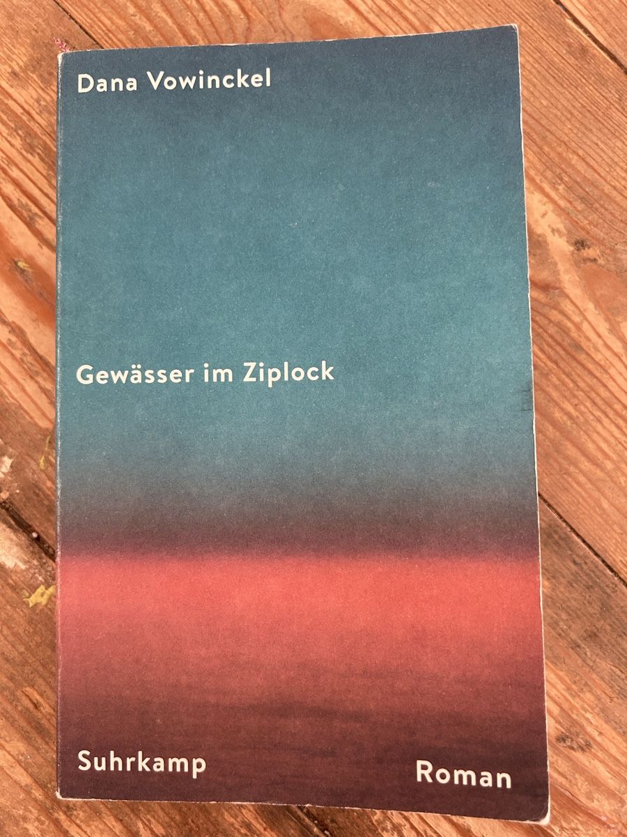 Bücher: Dana Vowinckel - Gewässer im Ziplock – Gebraucht aus Wila von elena_e166