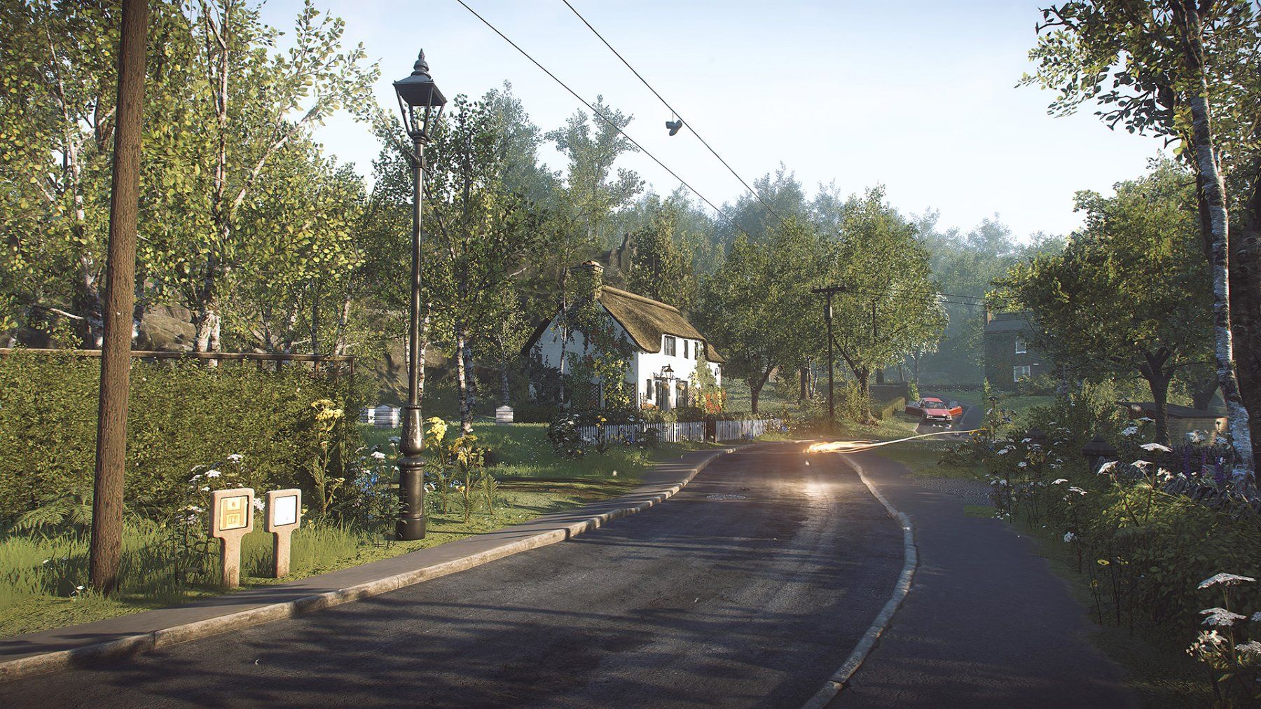 Giochi: Everybodys Gone to the Rapture (PC, Steam Key Download Code) – Nuovo (secondo la descrizione) da Bad Säckingen venduto da ms-spiele-keys 4