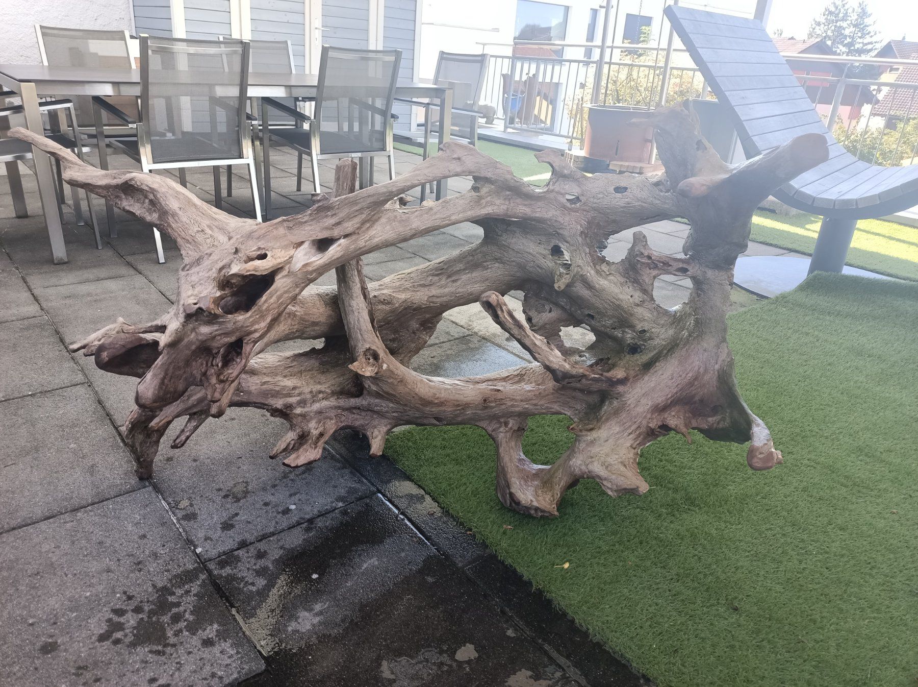Holzartikel: Aquarium oder Terrarium Wurzel XXL – Gebraucht aus Mettmenstetten von Motoro66 5
