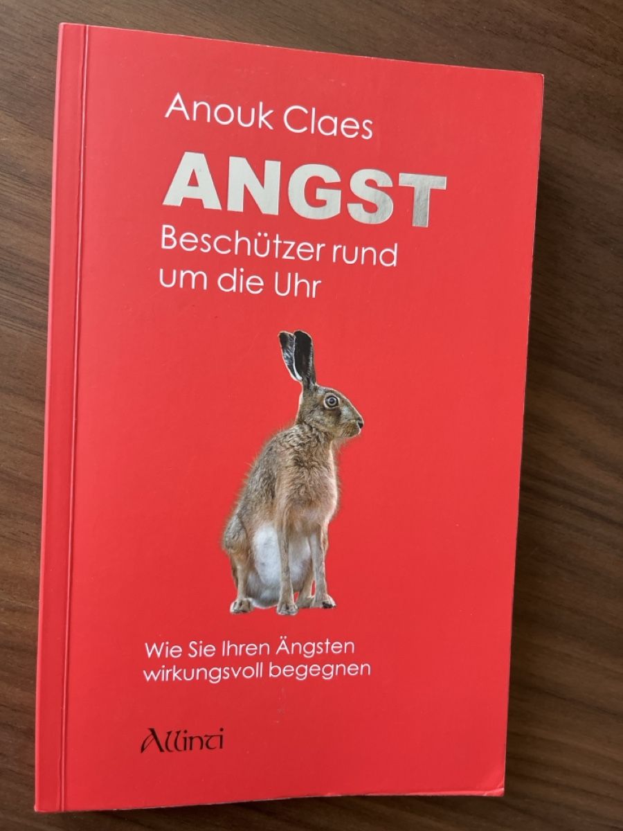 Bücher: Anouk Claes: Angst – Gebraucht aus Kloten von Mianan88