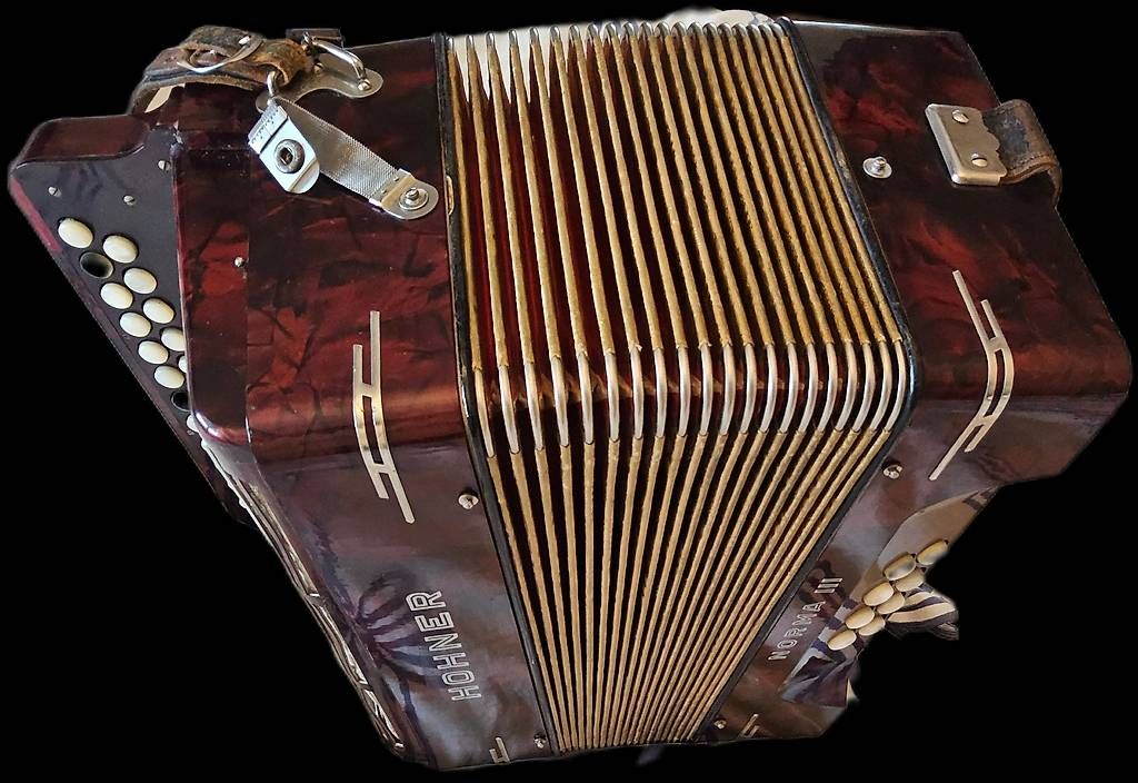 Musikinstrumente: Accordéon diatonique – Gebraucht aus Genève von swissaddress 1