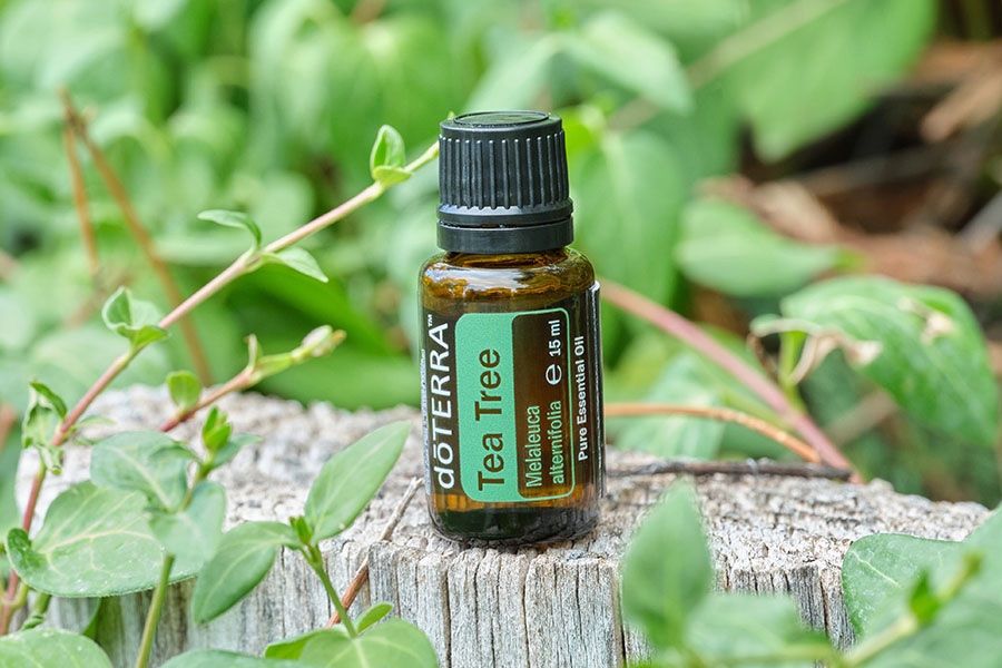 Bio Teebaumöl 30ml - Ätherisches Öl Für Haut, Haare & Nägel