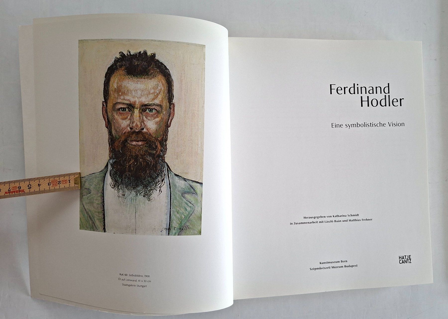 Bücher: Ferdinand Hodler Kunstbuch, selten, vergriffen – Gebraucht aus Opfikon von Diversamente 3
