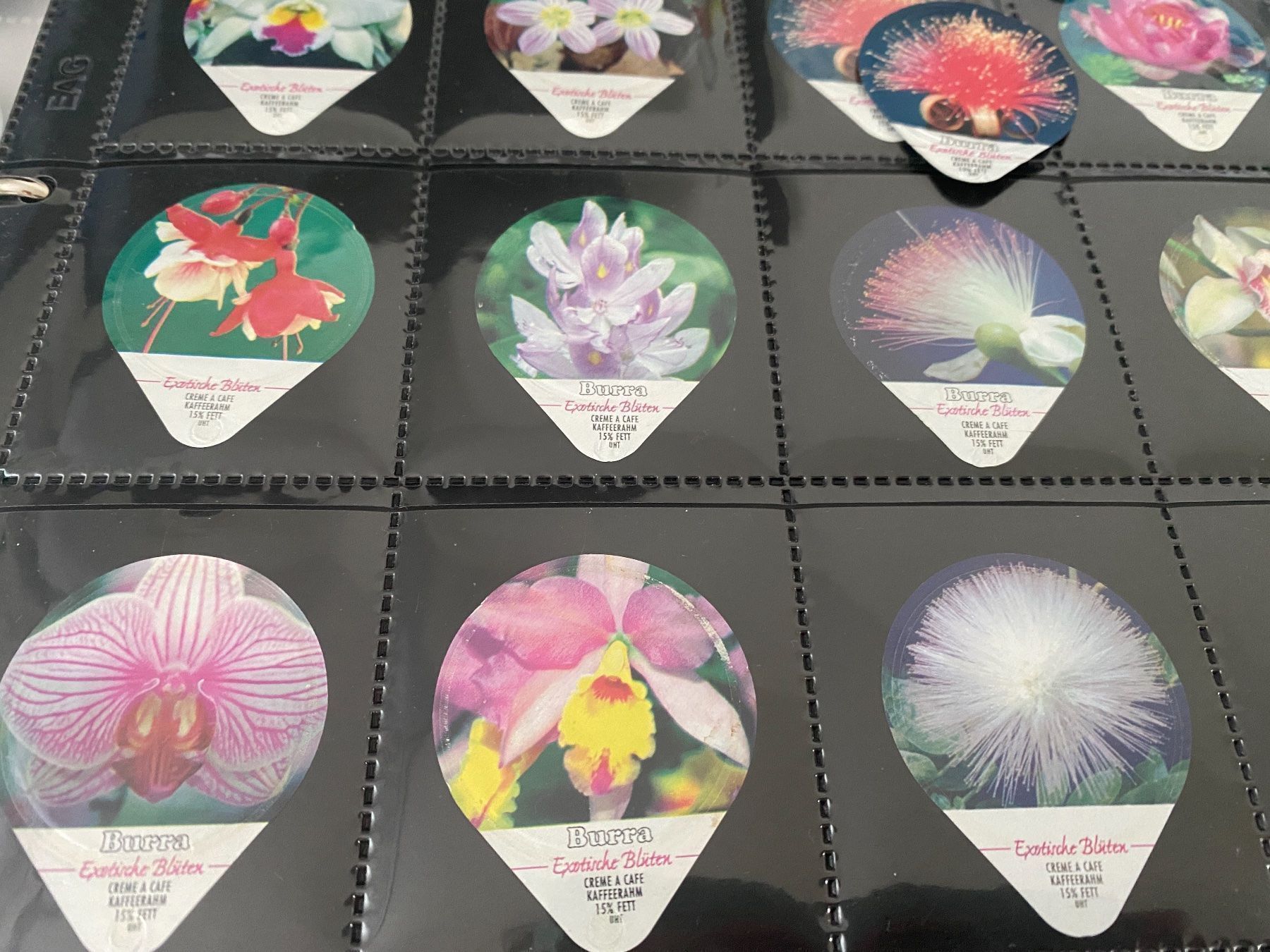 Coperchi dei cremini per caffè: KRD 453 EXOTISCHE BLÜTEN – Usato da Glattbrugg venduto da riseca 1