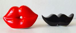 Design: Streuer Pfeffer & Salz als Lippen & Schnauz