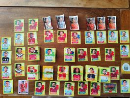 Panini WM 2026 Sticker  grosser Umfang guter Zustand