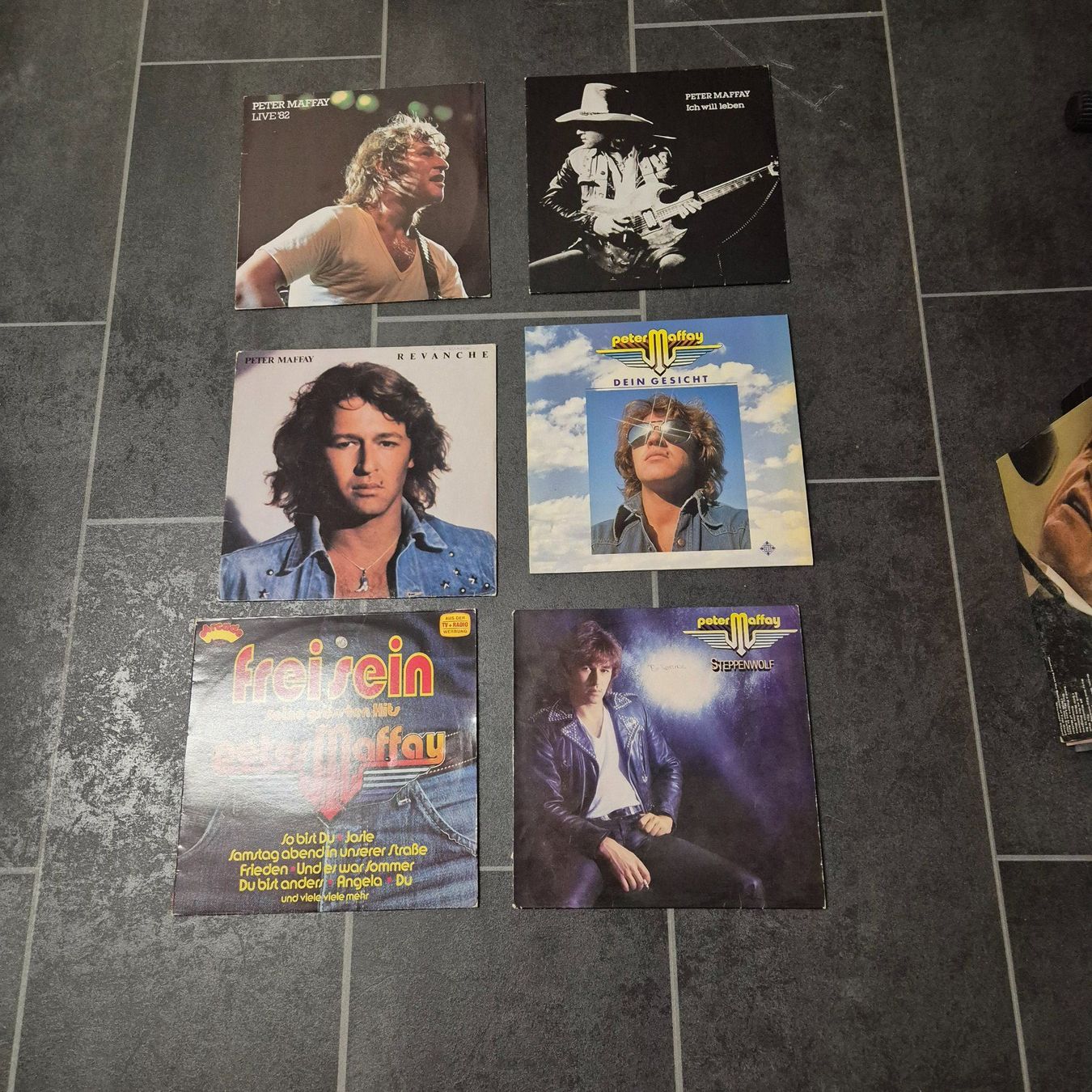 Dischi in vinile: Schallplatten Sammlung Peter Maffay – Usato da Arni AG venduto da kurtrmeier