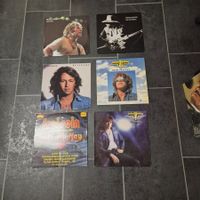 Schallplatten Sammlung Peter Maffay