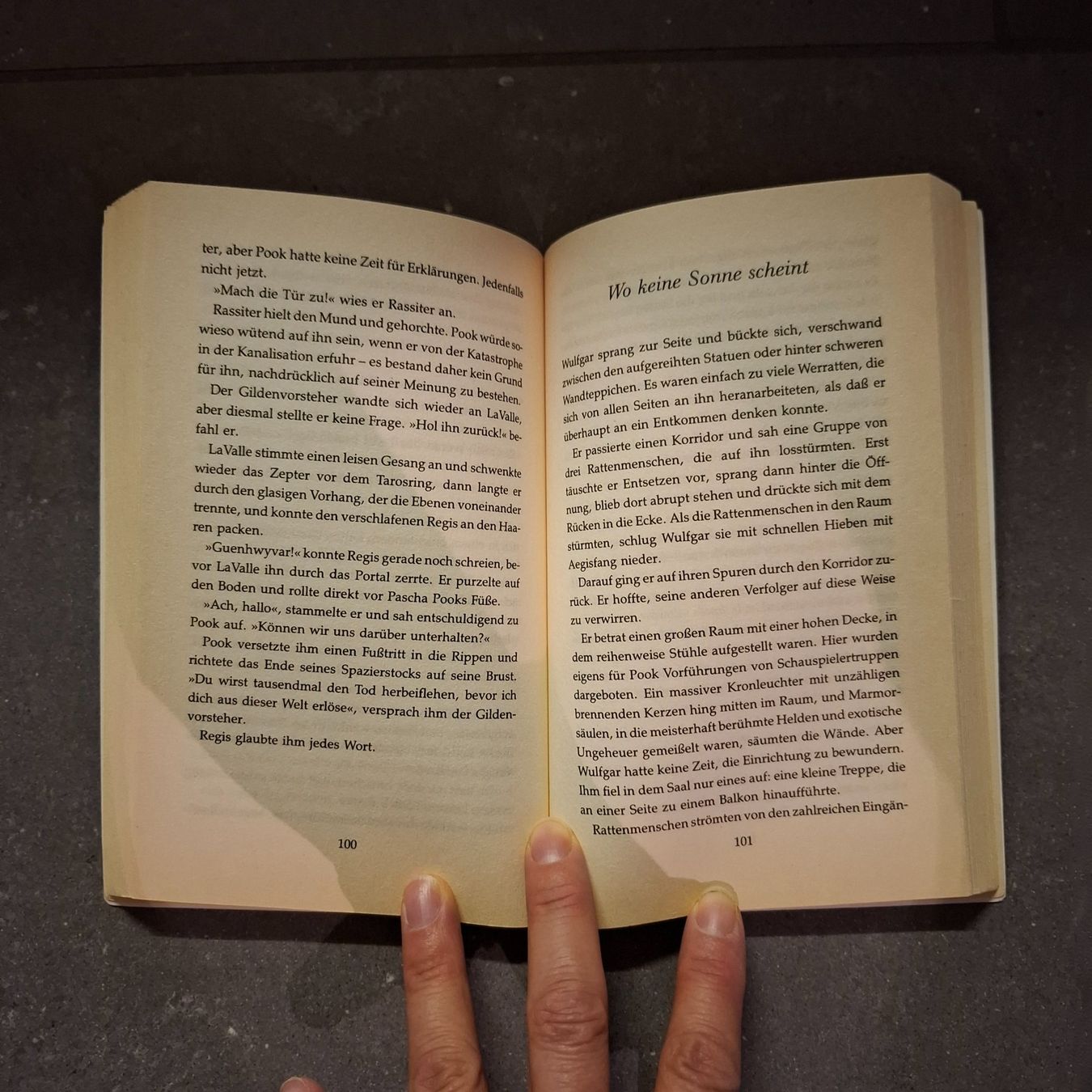Libri: R. A. SALVATORE 'Der ewige Traum' – Usato da Hombrechtikon venduto da Tinea82 2