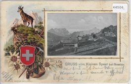 Gruss vom Kleinen Speer bei Nesslau - Gemsen Präge-Litho