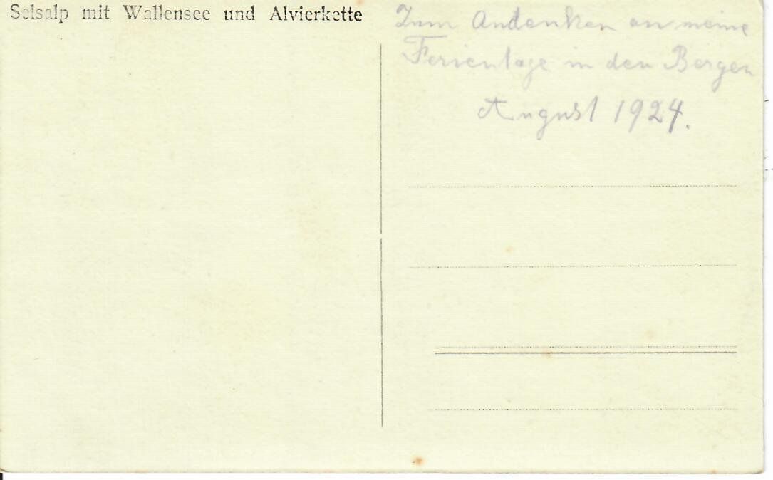 Cartoline postali: Selsalp mit Wallensee 1924 – Usato da Hochdorf venduto da Ziegel-16 1