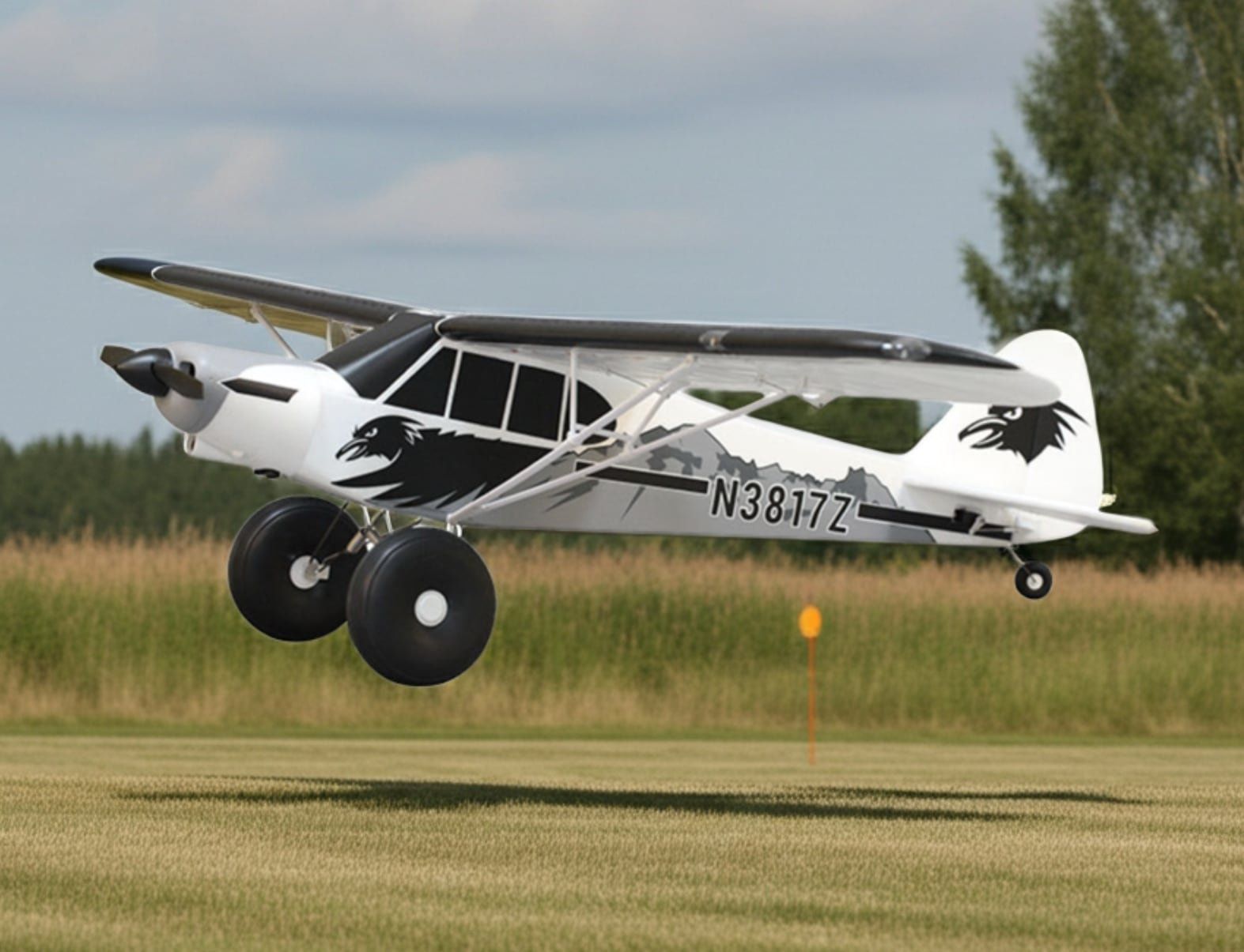 FMS Modellismo RC: FMS Piper PA-18 Super Cub, 170cm, PNP – Nuovo e nell'imballaggio originale da Oberrüti venduto da Veba-Trade 1