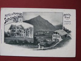 Aeschiried, Hotel Schönbühl