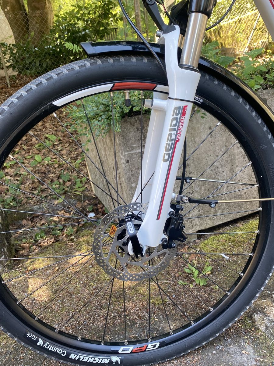 Bosch Biciclette: BOSCH Gepida Berig TOP ZUSTAND – Usato da Luzern venduto da Goodmorning_16